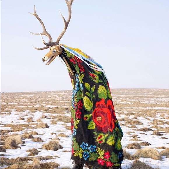 Meet your Posher, Venessa - Picture 1 of 1